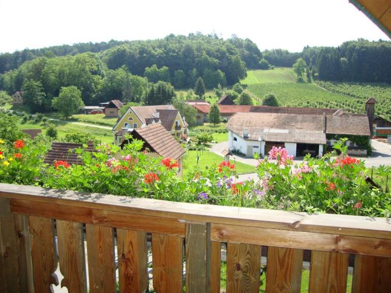 foto11