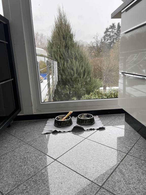 foto44