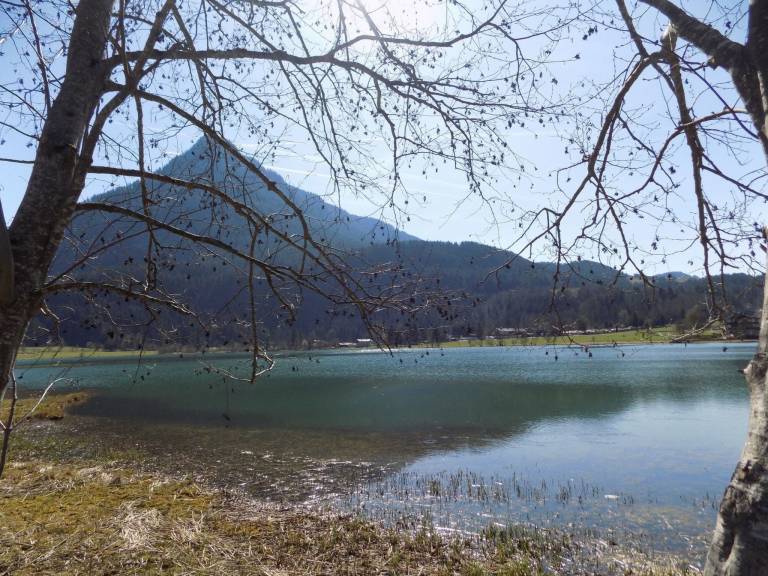foto15