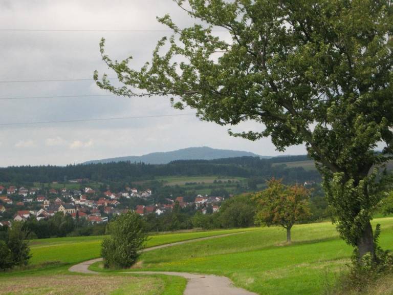 foto3