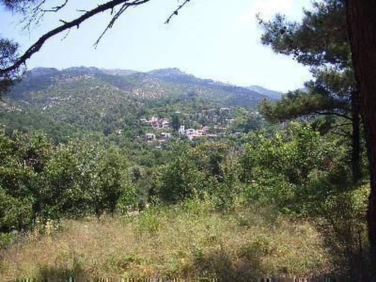 foto18
