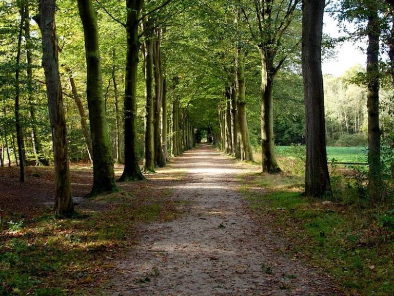 foto17