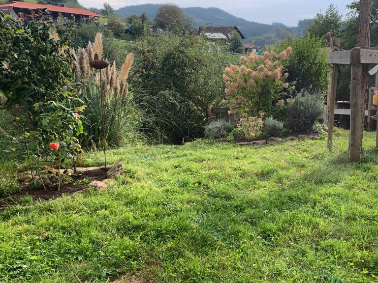 foto34