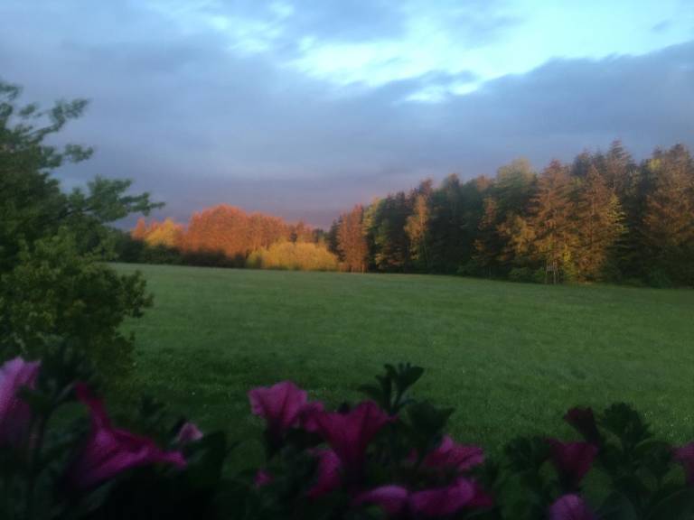 foto23