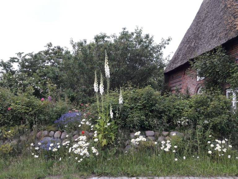 foto15