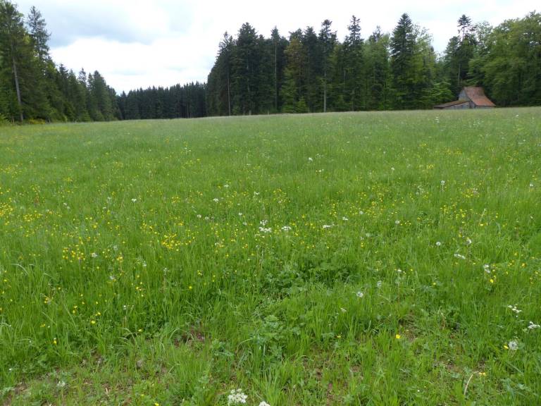 foto13