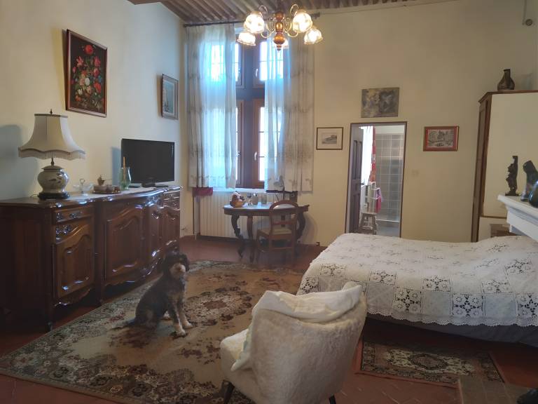 foto7