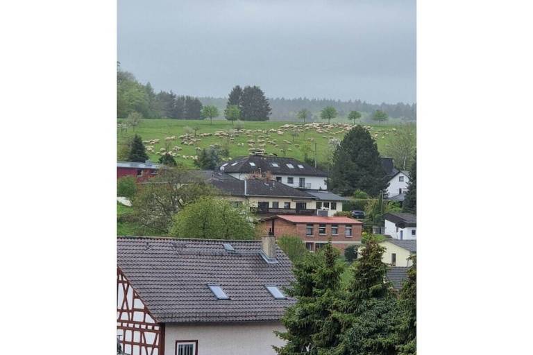 foto28