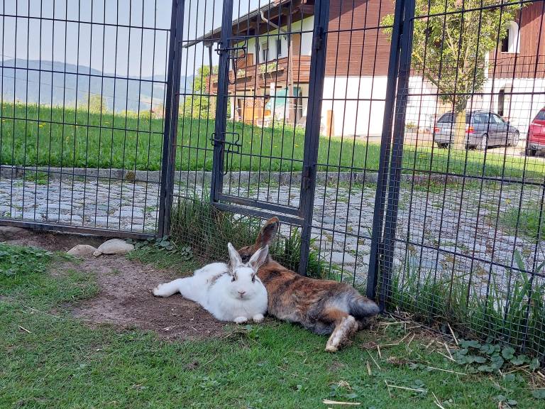 foto27