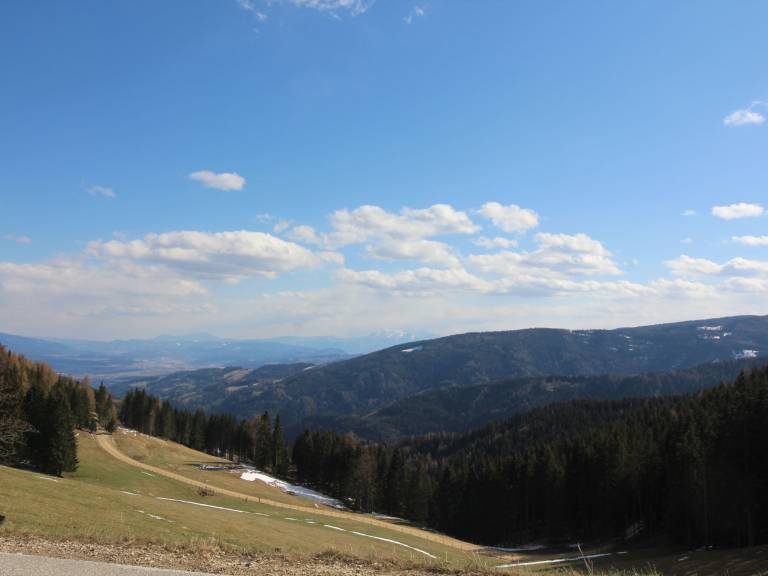 foto50