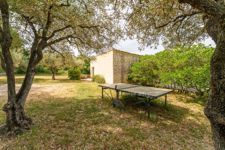 foto26