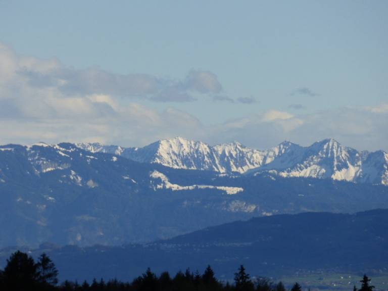 foto41