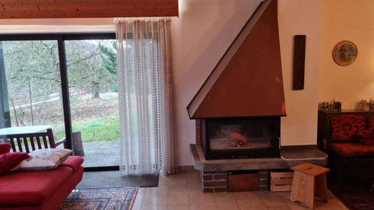 foto21