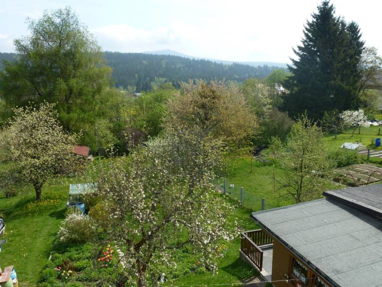 foto8