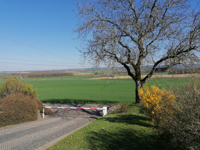 foto15
