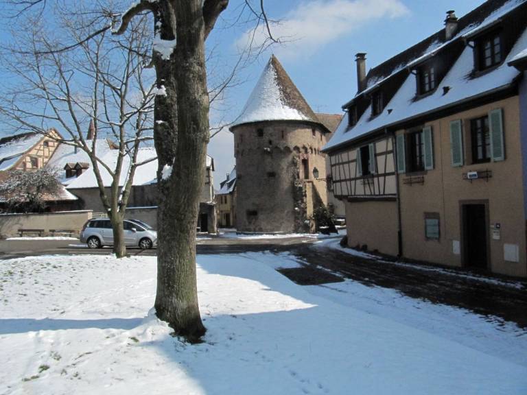 foto1