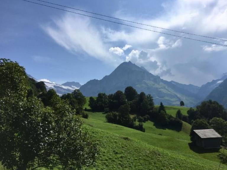 foto2