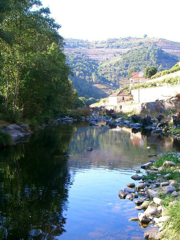 foto9