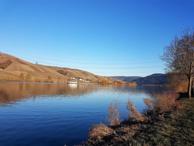 foto15