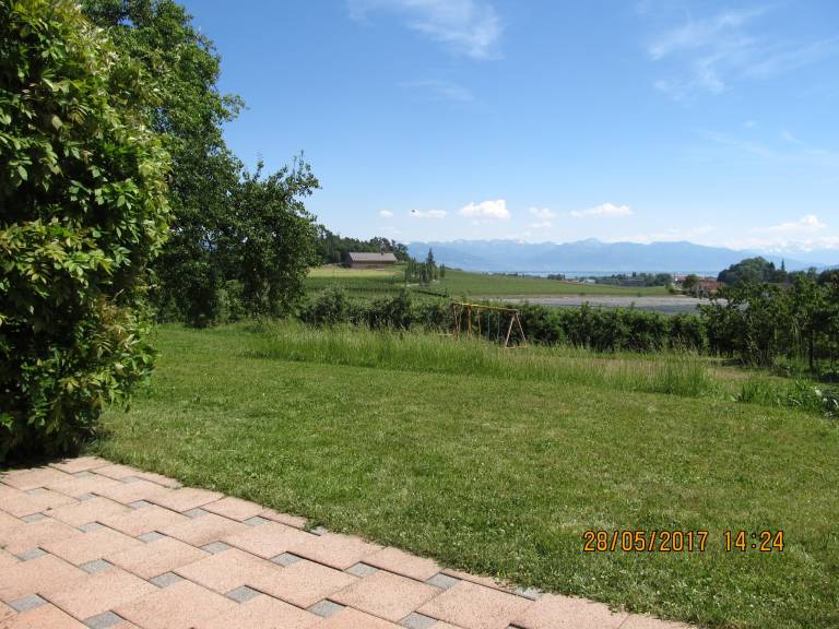 foto19