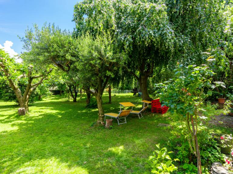 foto20