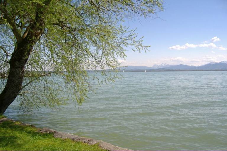 foto8