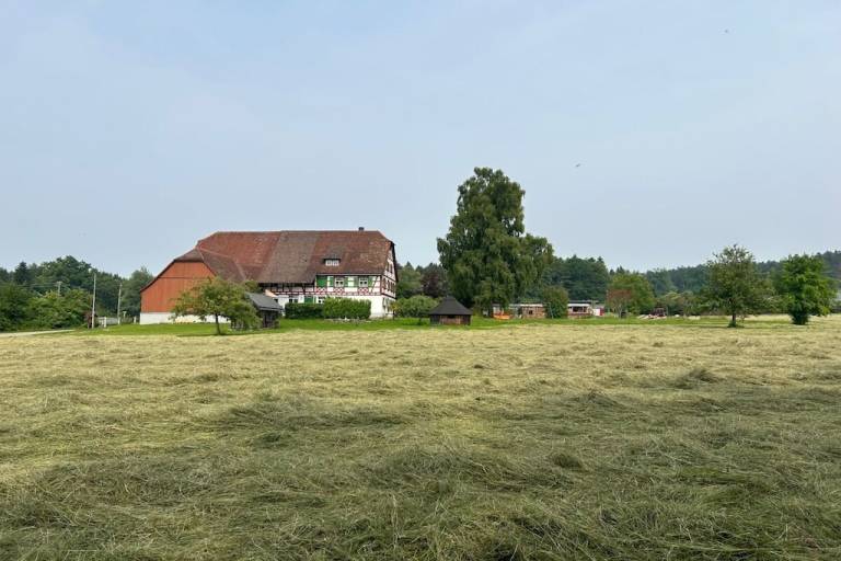 foto20