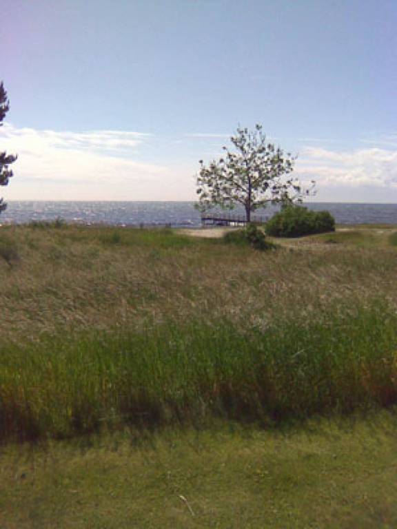 foto21