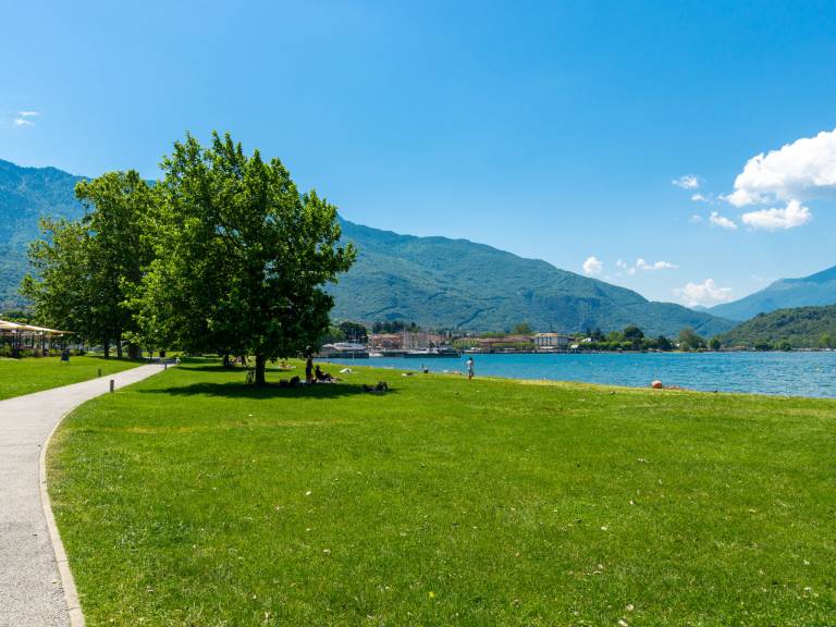 foto44