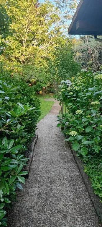 foto40
