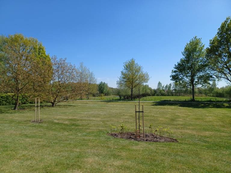 foto11