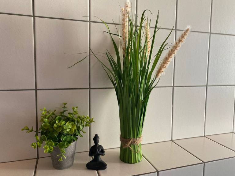 foto18