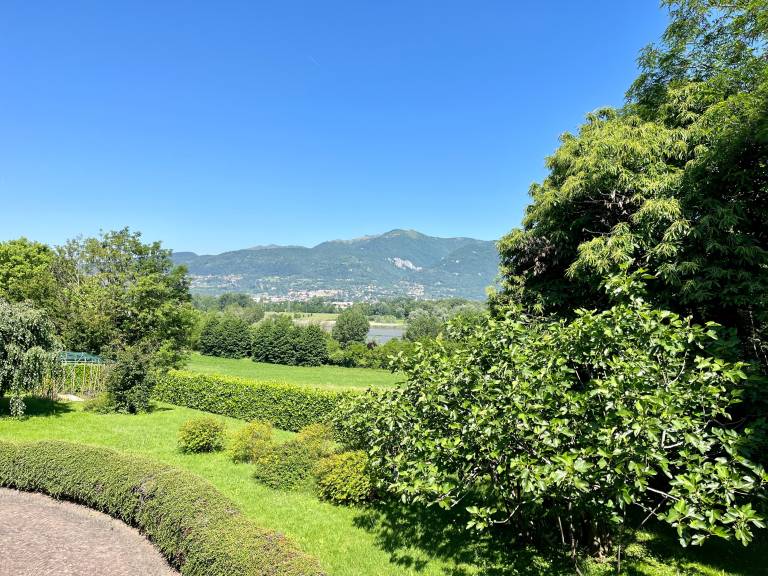 foto42