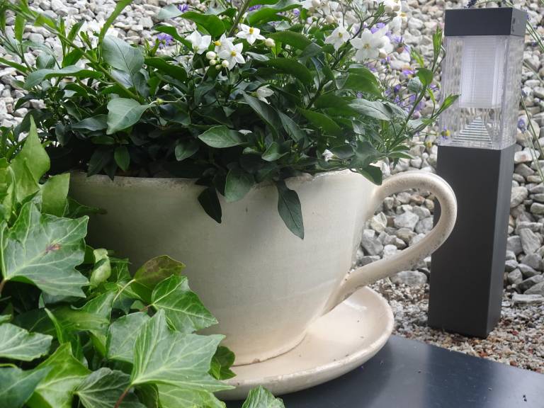foto24