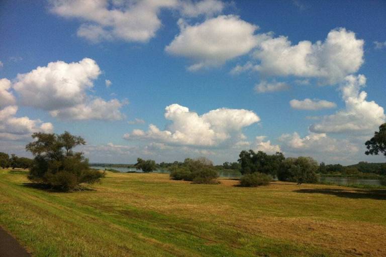 foto17