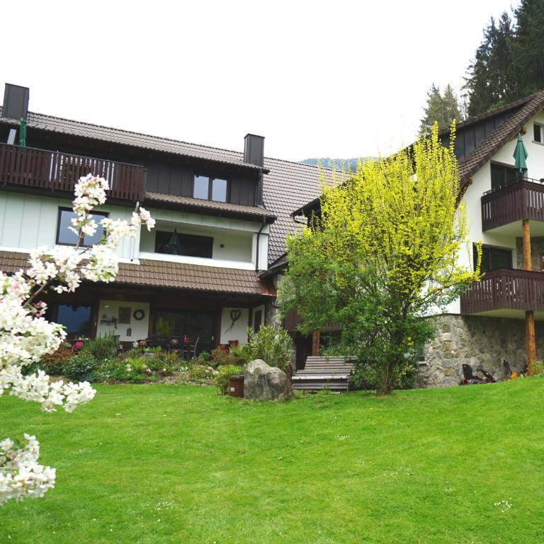 foto11
