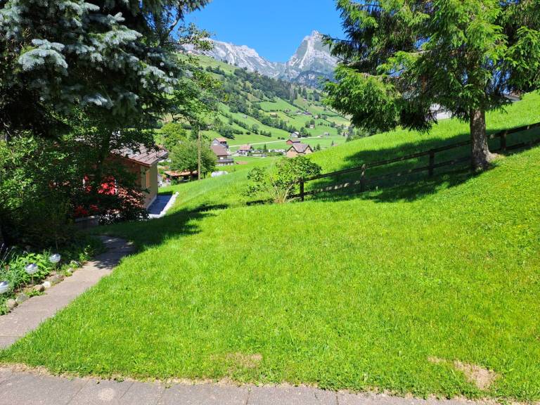 foto21