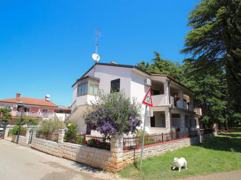foto12
