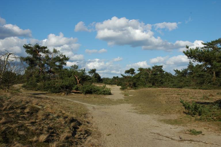 foto33