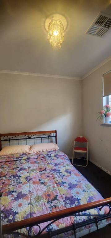 foto12