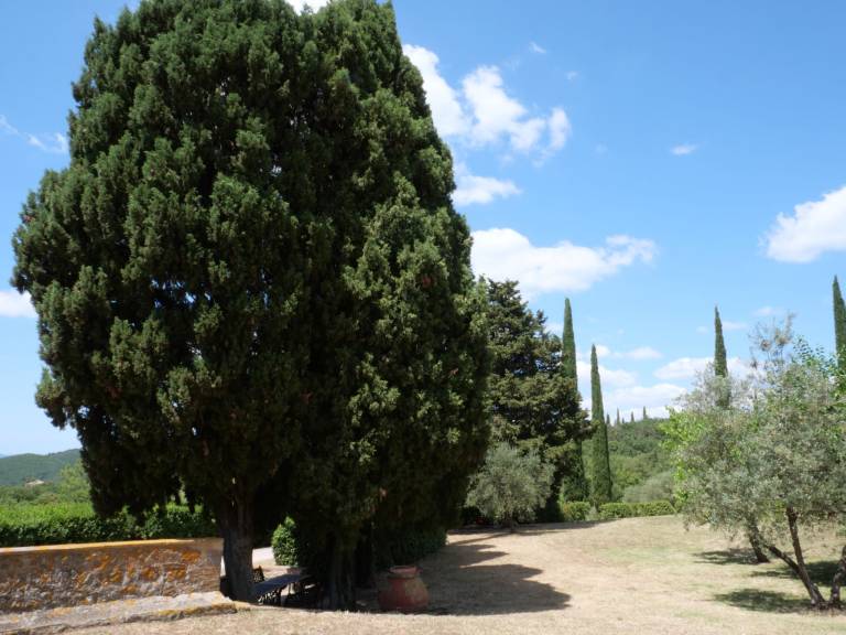 foto34