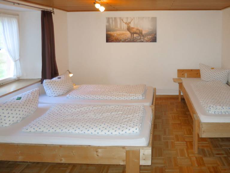 foto6