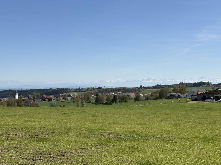 foto11