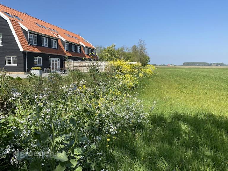foto17