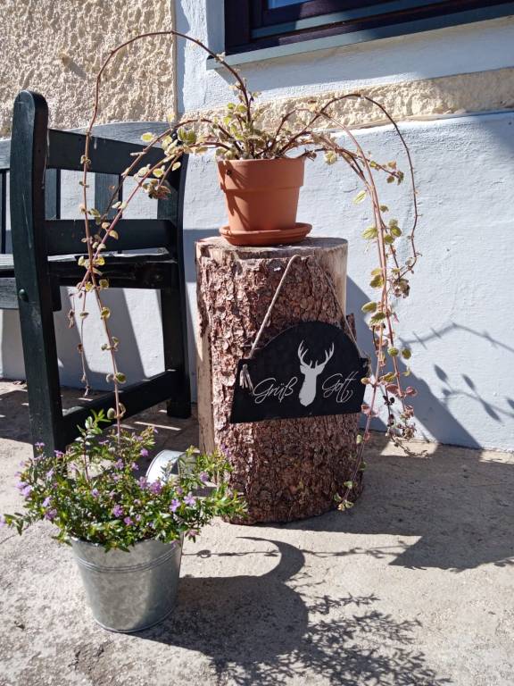 foto24