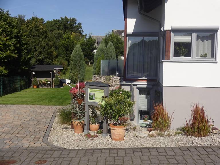 foto12
