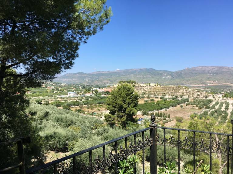 foto11