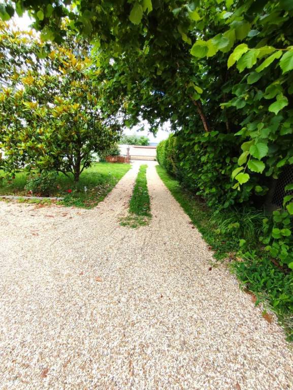 foto17