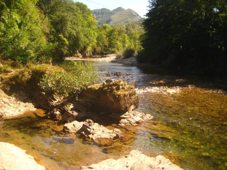foto43