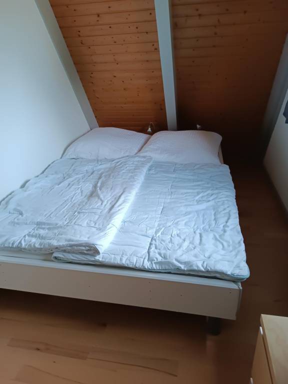 foto7